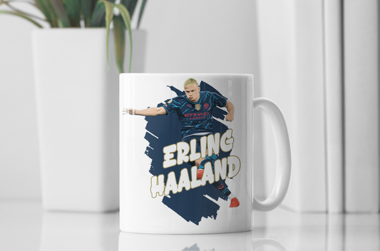 ERLING HAALAND NV